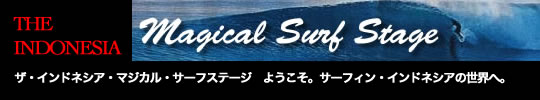 サーフトリップエグゼクティブ