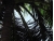 sunshade1.5.JPG