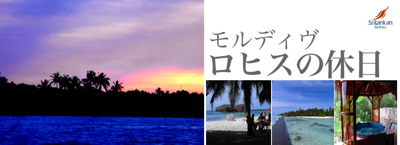 maldivetop.jpg