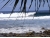 lohis2.JPG