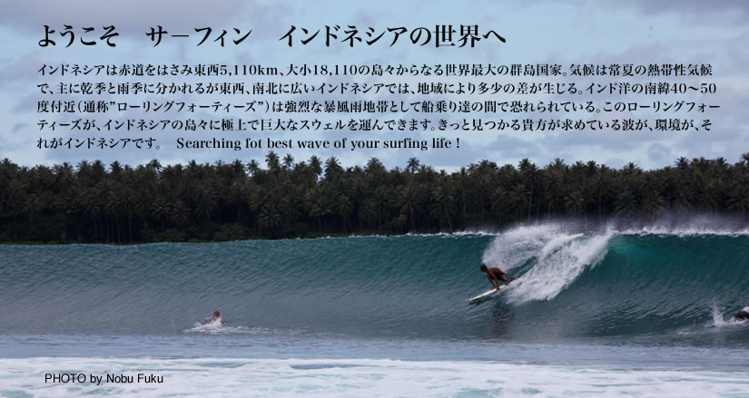 nias955C8E86.png