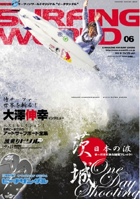 sw06.jpg