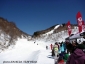 P1000218.jpg