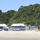 site.jpg